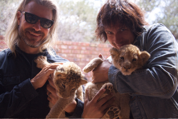 South Africa Chill Time: Baby Lions